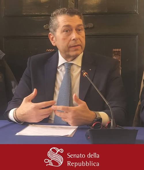 Michele De Gasperis interviene al Senato della Repubblica